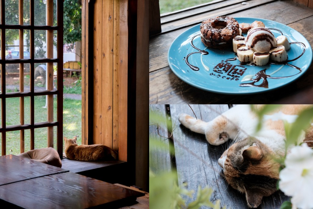 [食記] 雲林 斗六 凹凸咖啡館，超療癒可愛貓咪